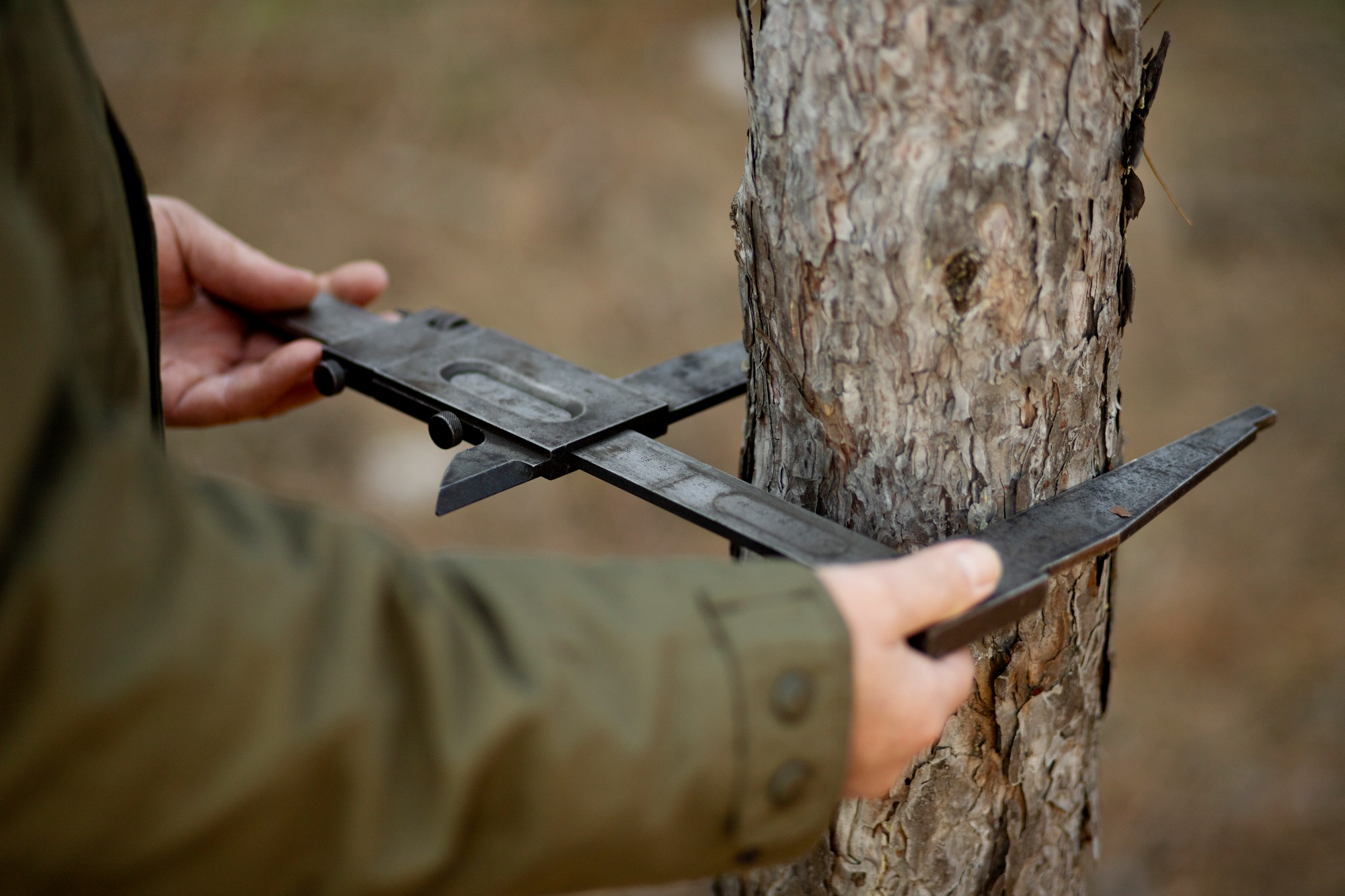 A person uses a metal caliper to measure the diameter of a tree trunk outdoors. The person is wearing a green jacket. The background is blurred, focusing attention on the measurement process.