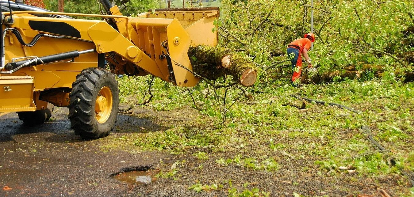 A yellow front-end loader lifts a fallen tree while a worker in orange safety gear clears branches and debris from a road after a storm.