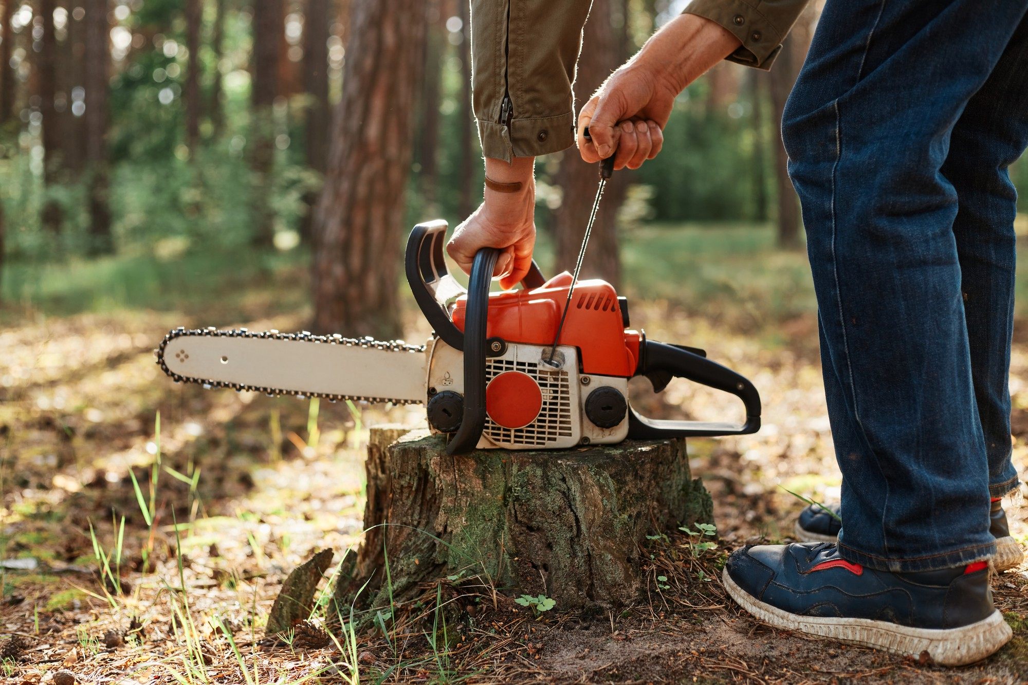 A person stands in a forest, pulling the starter cord of an orange chainsaw resting on a tree stump, preparing to use it. The scene is outdoors with trees and sunlight filtering through.