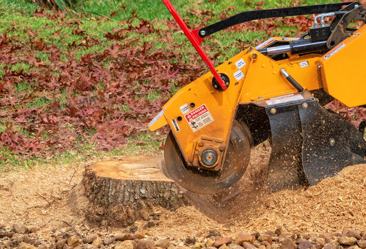A yellow stump grinder machine cuts into a tree stump, creating wood chips and sawdust, with grass and fallen brown leaves visible in the background.