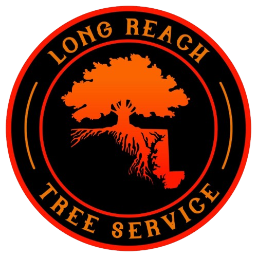 A circular logo for Long Reach Tree Service featuring an orange tree with exposed roots. The company name wraps around the top and bottom in orange letters on a black background with an orange border.