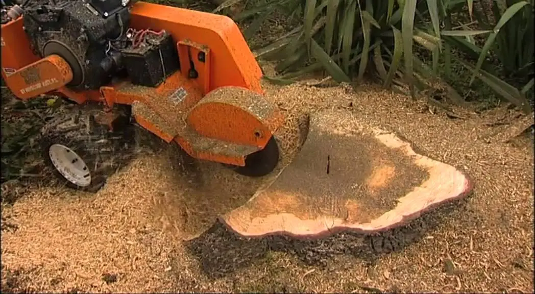 A machine cutting a tree stump.